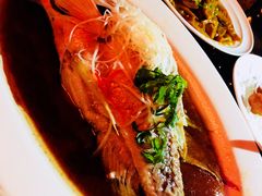 -丽都DELICATESSEN熟食店