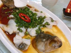 芙蓉葱香蒸鲈鱼片-清心鸡沙田乳鸽店·非遗传承(粤垦路店)