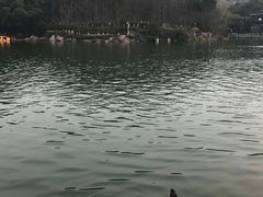 -白马涧龙池景区