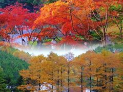-四明山国家森林公园