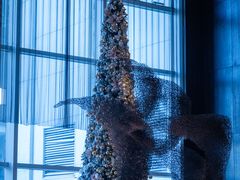 -北京康莱德酒店