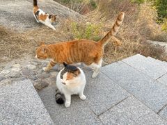 -北京凤凰岭