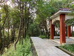 -火炉山森林公园