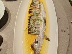 -绿杨春甄选(兴隆大街店)