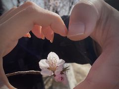 -天津东丽湖风景区
