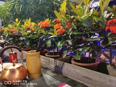 -蛙小侠(珠海华发商都店)