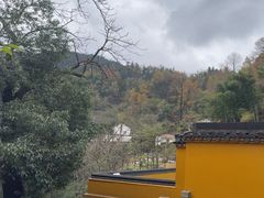 -九华山风景区月身宝殿