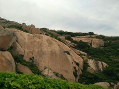 -洋山深水港