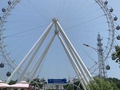 -日照海滨国家森林公园