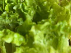 -老员外骨汤火锅(海州古城店)