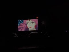 -枫花园汽车电影院(朝阳公园店)