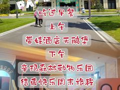 -白洋淀景区