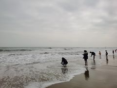 -东海岛旅游度假区