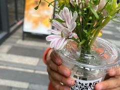 -Luneurs(幸福里店)