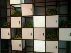 -MAGIC米几发型设计·羊毛卷