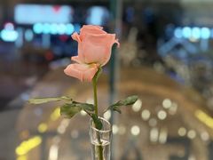 -Angelina安吉丽娜(恒隆广场店)