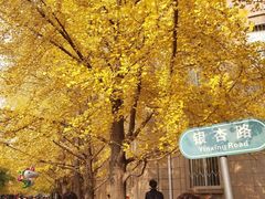 -辽宁大学(崇山校区)