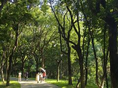-燕晗山郊野公园