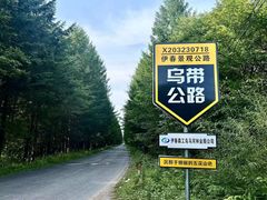 -汤旺河林海奇石景区