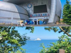 -烟台海昌鲸鲨海洋公园