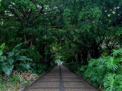 -南宁南湖公园