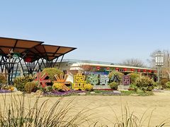 -上海长兴岛郊野公园