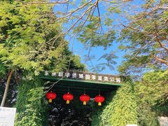 -华侨城湿地公园