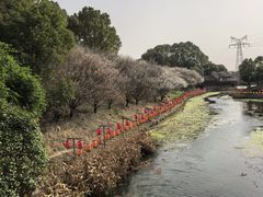 -韩湘水博园