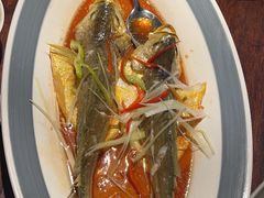 -前海沿·青岛菜(五四广场永旺店)