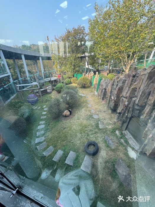 大连森林动物园图片