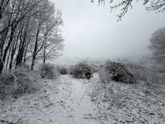 -太子岭滑雪场
