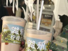-猫的魔法密林(衣裳街店)