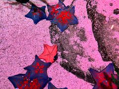 -沈阳海洋探索中心