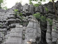 -梭布垭石林景区