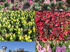 -文华公园(禅城区)