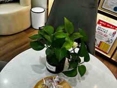 -Dr.Z dental仁康种植矫正中心