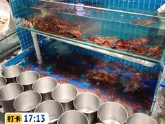 -星伦多自助料理(花山金鹰店)