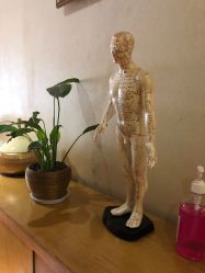 -唯伊美塑身美养连锁