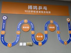 -搏鸣乒乓球俱乐部(万柳店)