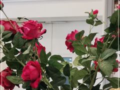 -澜悦港海鲜体验主题餐厅