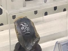 -青藏高原自然博物馆