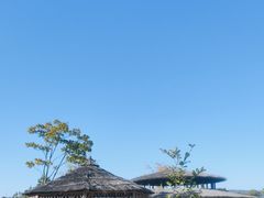 -径山花海