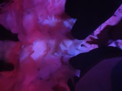 -简奥斯汀·赫本酒吧