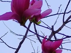 -元大都城垣遗址公园