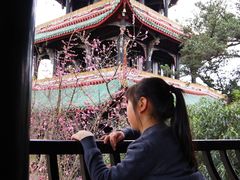 -望江楼公园