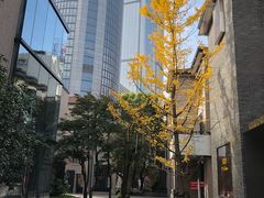 -徐家汇源景区-衡山坊