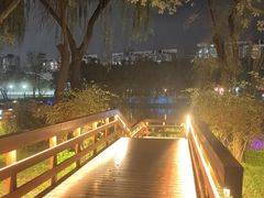 -新江湾城公园