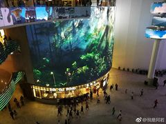 -云顶高原