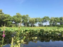 -昆山城市生态森林公园