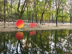 -长白岛森林公园